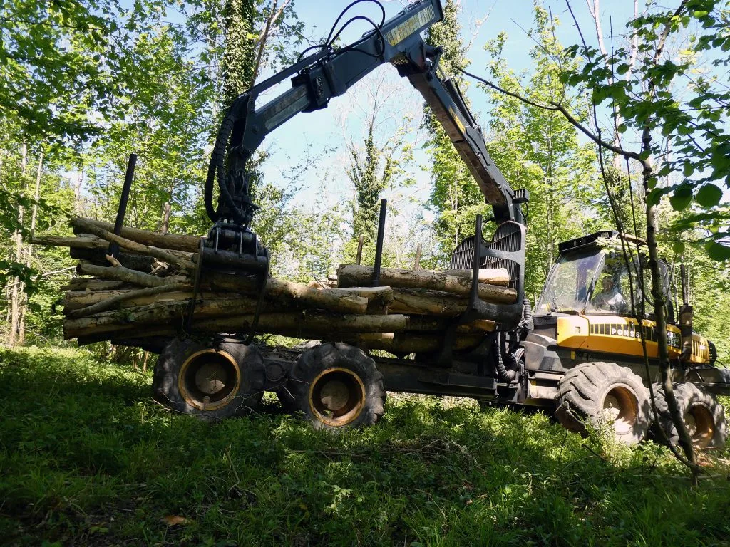 MJO Sustainable Woodland & Forest Management West De