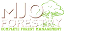 MJO Forestry Ltd Logo